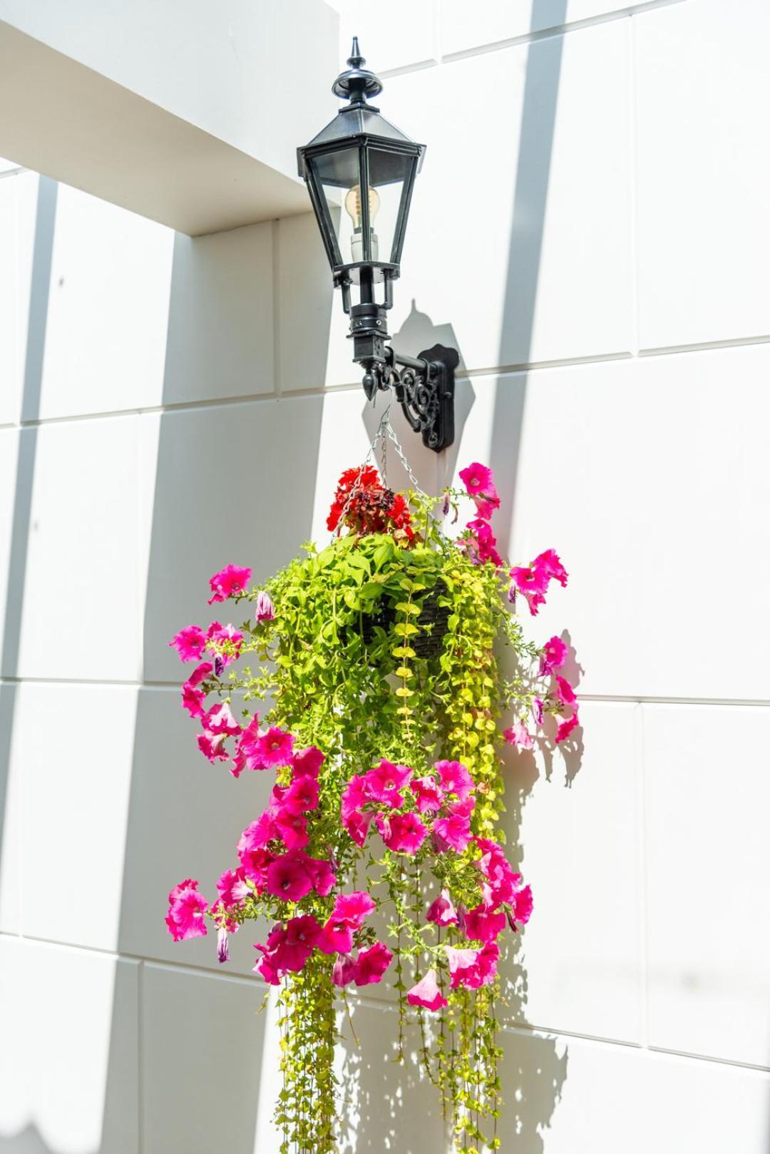 Grapelli Boutique Hotel อัลค์มาร์ ภายนอก รูปภาพ